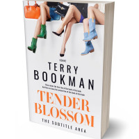 Tablet view of Ebb #8297 - Premade Erotica Book Cover