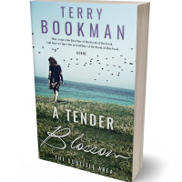 3D view of Geyser #8301 - Premade Romance Book Cover