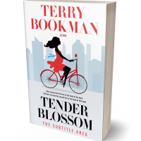 3D view of Premade Chick Lit Book Cover - Mystic