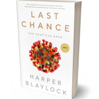 Tablet view of Antique Brass #8412 - Premade Apocalyptica Book Cover