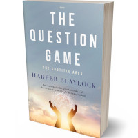 Tablet view of Gull Gray #8473 - Premade Abstract Book Cover