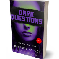 3D view of Premade Erotica Book Cover - Ebony