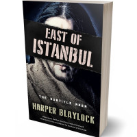 Tablet view of Sisal #8488 - Premade Mystery & Thriller & Suspense Book Cover