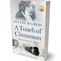 3D view of Premade Romance Book Cover - Iron