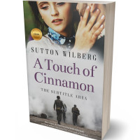 3D view of Premade Romance Book Cover - Cloud