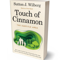 3D view of Premade Abstract Book Cover - Killarney