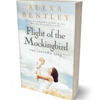 3D view of Premade Family & Parenting Book Cover - Gray Nurse