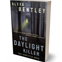 3D view of Premade Mystery & Thriller & Suspense Book Cover - Thunder