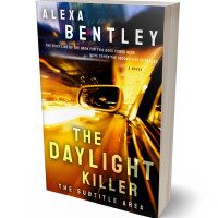 3D view of Premade Business Book Cover - Cinder