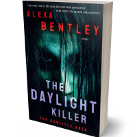 3D view of Premade Horror Book Cover - Firefly