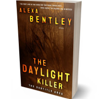 3D view of Premade Horror Book Cover - Bronze