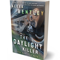 Tablet view of Cape Cod #9010 - Premade Action & Adventure Book Cover