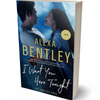 3D view of Premade Romance Book Cover - Big Stone