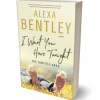 Tablet view of Parchment #9030 - Premade Teen & Young Adult Book Cover