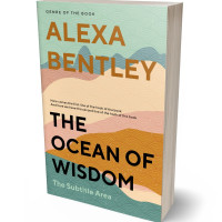 Tablet view of Akaroa #9036 - Premade Abstract Book Cover