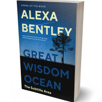 3D view of Premade Self-Improvement & Self-Help Book Cover - Mirage