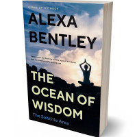 3D view of Premade Health & Mind & Body Book Cover - Ebony