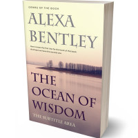 Tablet view of Stark White #9072 - Premade Abstract Book Cover