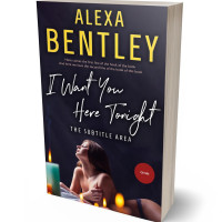 3D view of Premade Erotica Book Cover - Bastille