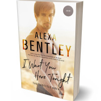 3D view of Premade Erotica Book Cover - Tan