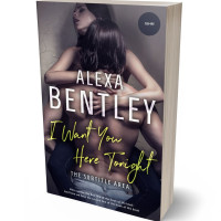 3D view of Premade Erotica Book Cover - Blackcurrant