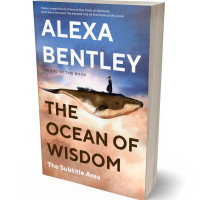 3D view of Premade Fantasy Book Cover - Clam Shell