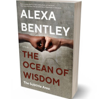 3D view of Premade Politics & Law & Society Book Cover - Olive Haze