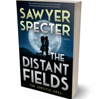 3D view of Premade Romance Book Cover - Firefly