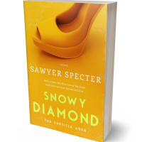 Tablet view of Gamboge #9221 - Premade Chick Lit Book Cover