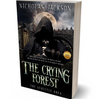 3D view of Premade Fantasy Book Cover - Nomad