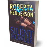 3D view of Premade Erotica Book Cover - Ship Gray