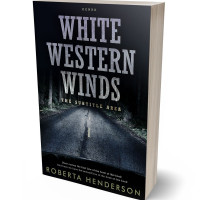 3D view of Premade Mystery & Thriller & Suspense Book Cover - Manatee