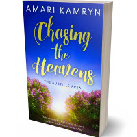 3D view of Premade Abstract Book Cover - Chino