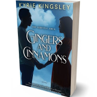 3D view of Premade Erotica Book Cover - Mirage