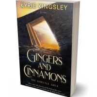 3D view of Premade Fantasy Book Cover - Calico