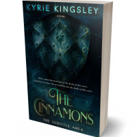 3D view of Premade Historical Book Cover - Firefly