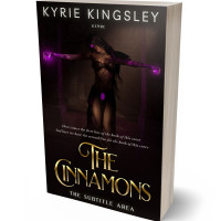 Tablet view of Night Rider #9692 - Premade Fantasy Book Cover