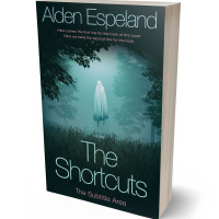 3D view of Premade Horror Book Cover - Firefly