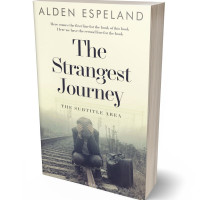 3D view of Premade Abstract Book Cover - Abbey