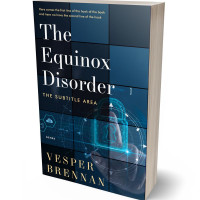 3D view of Premade Business Book Cover - Firefly