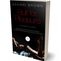 Tablet view of Cod Gray #10124 - Premade Erotica Book Cover