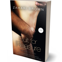 3D view of Premade Erotica Book Cover - Cameo