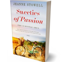 3D view of Premade Romance Book Cover - Iron