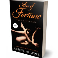 3D view of Premade Erotica Book Cover - Tumbleweed