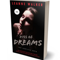 3D view of Premade Erotica Book Cover - Brandy Rose