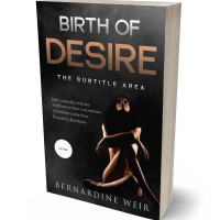 3D view of Premade Erotica Book Cover - Cod Gray