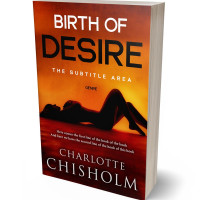 Tablet view of Rock Spray #10243 - Premade Erotica Book Cover