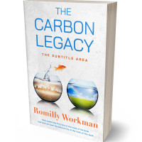 3D view of Premade Science & Nature Book Cover - Desert Storm