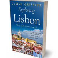 3D view of Premade Travel Book Cover - Bison Hide