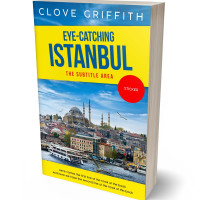 3D view of Ripe Lemon #10342 - Premade Travel Book Cover | BookCoverZone